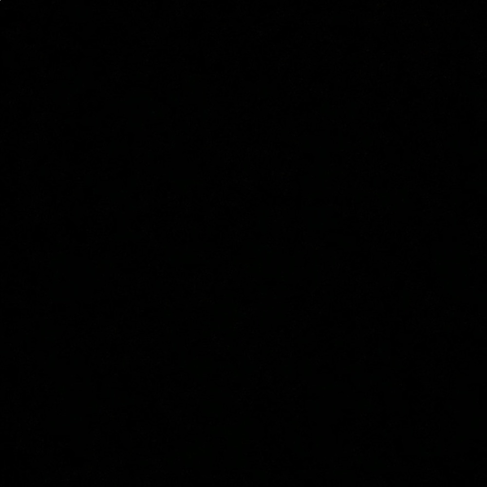 Meet your Posher, Nelly